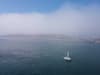 WATCH: Spooky fog clinging onto the coastline on a sunny day in the Solent