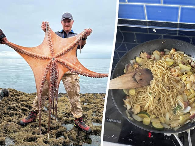 Ziggy Austin with the seven foot octopus at Hopes Nose near Torquay, Devon and the octopus-based stir fry. 