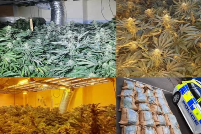 Police arrested a man after a cannabis factory was found. Pic: Hants police