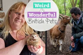 Watch a programme on Shots TV exploring some of Britain's quirkiest pets - and the wonderful things we get upto with them!