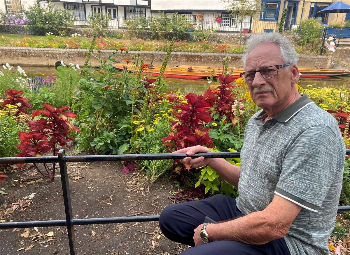 “It’s a tragedy”: Residents claim “disrespectful” tourists are trampling flowerbeds turned Instagram hotspot